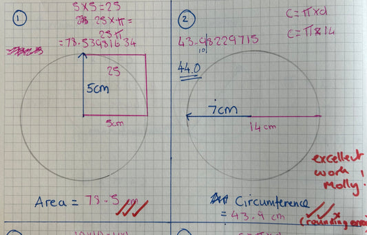 Mastering Maths: Teaching For Understanding In A Tutoring Session
